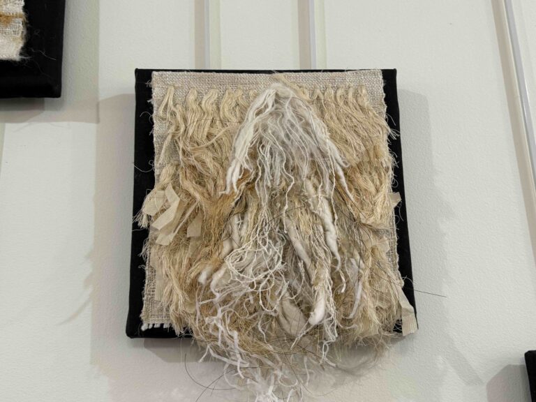 Mary Schwartz "Idea of Abundance"